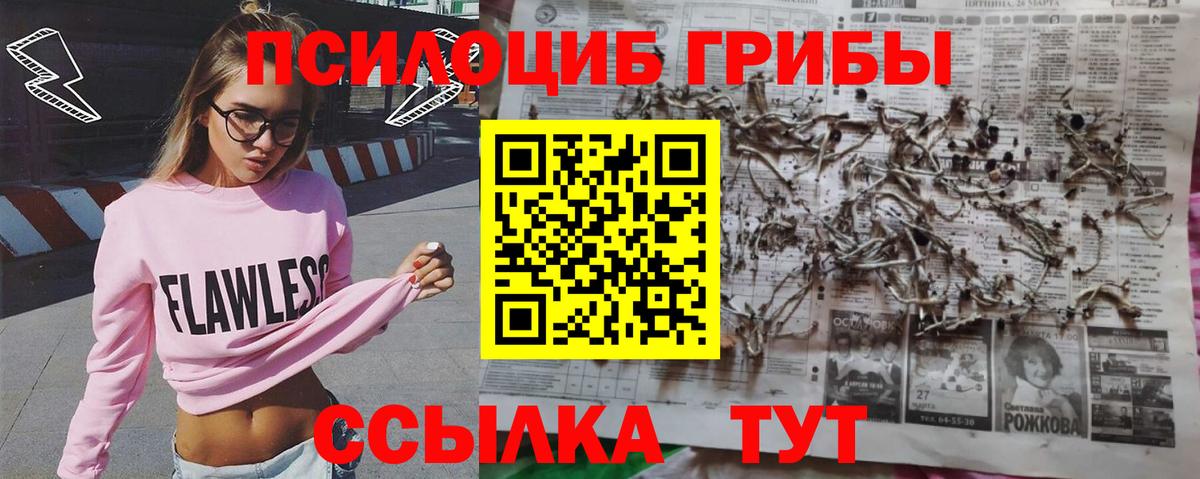 Псилоцибиновые грибы мицелий  цена   Мичуринск  Вход с VPN 