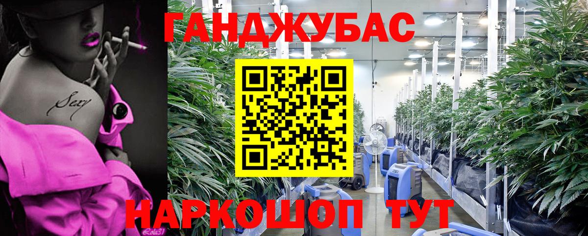 Бошки марихуана марихуана  Вход с VPN  Мичуринск  Каннабис VHQ  Бошки Шишки White Widow 